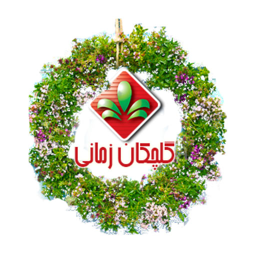 گلچکان زمانی